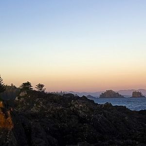 Meet your Posher, Corey